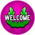 Answer or Die - Welcome!