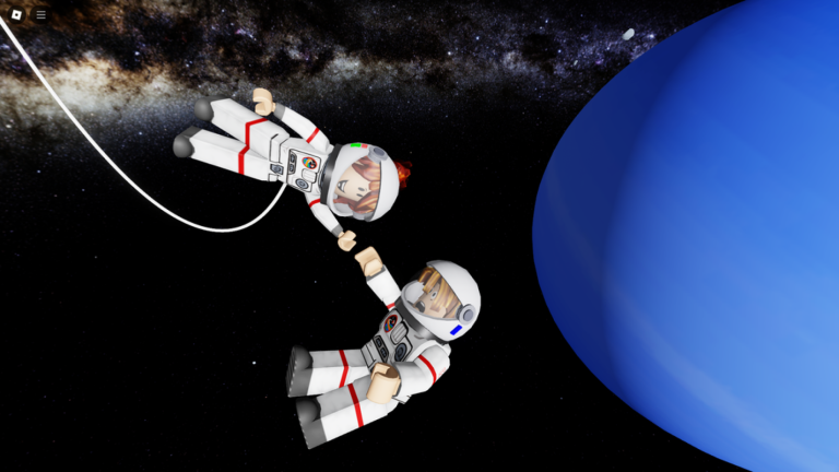 The Space Simulator