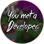 You met a Developer