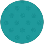 Cat Clicker - Bem-vindo ao Cat Clicker