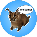 🌟Welcome!