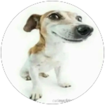 Ouça 200+ músicas