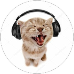 Ouça 50+ músicas