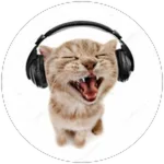 Dan's Karaoke - Escucha más de 50 canciones