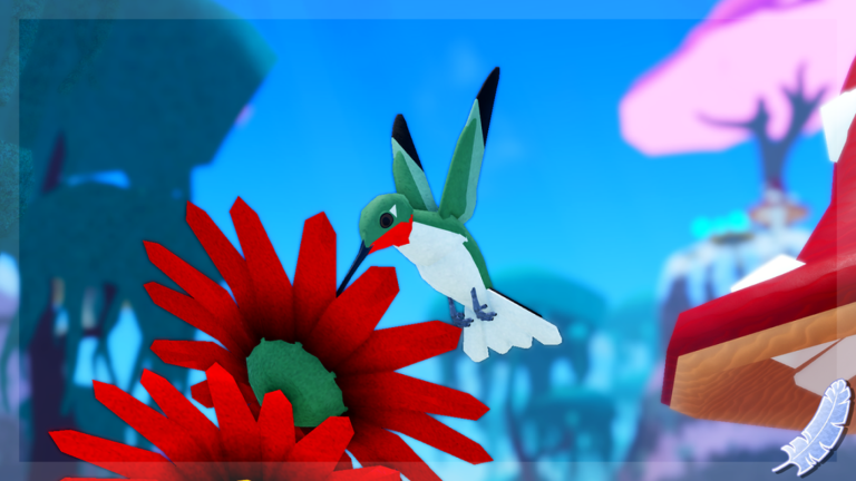 Images 4