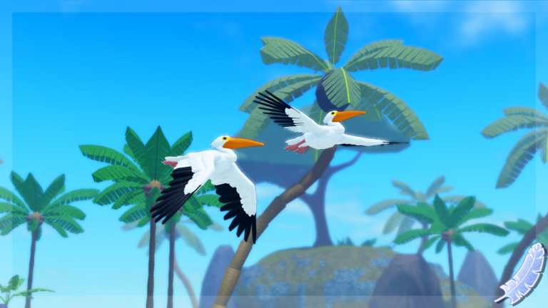 Images 5