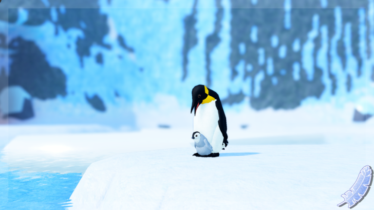 Images 6