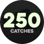 250 Catches