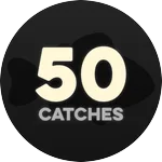 50 Catches