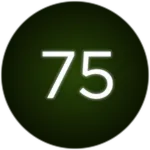 Flashlight Tag - Level 75