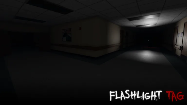 Flashlight Tag - Images 3