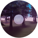 Starlight Bubble