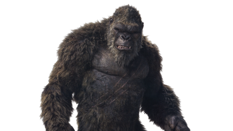 Kong