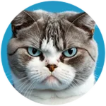 Meme Maker - Boas-vindas