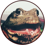 Foofie