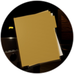 Zizzy's Experience: All Files
