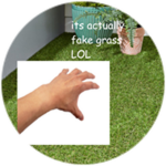 touch grass