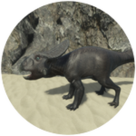 Play as a Protoceratops