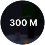 300 Meters