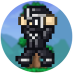 Ninja