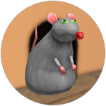 Mouse Scare!