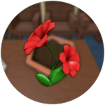 Where This Flower Blooms