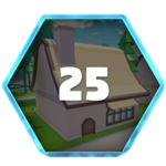 25 House Robberies