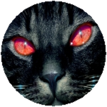 bad luck