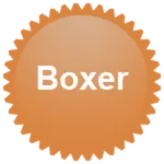 Pizza Boxer